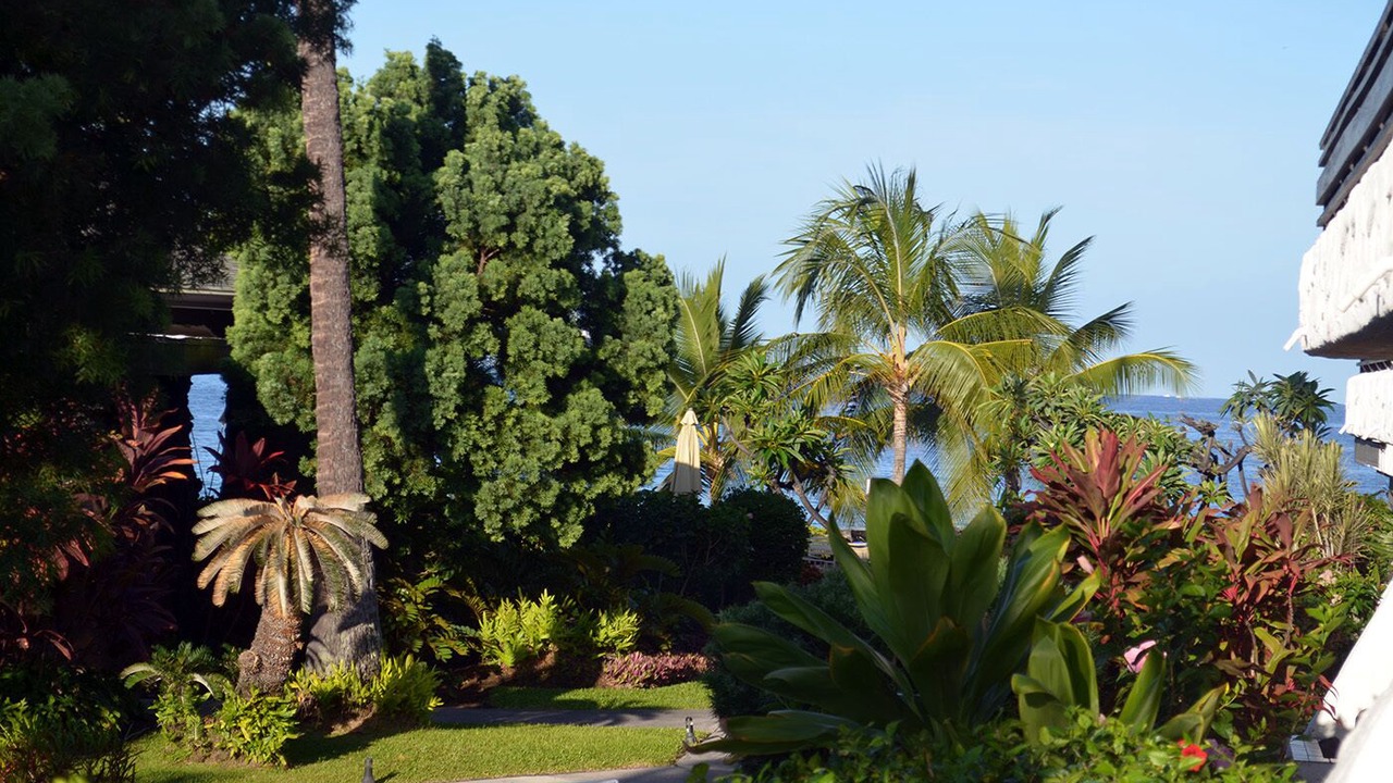 Photo of Outdoor in Kailua-Kona