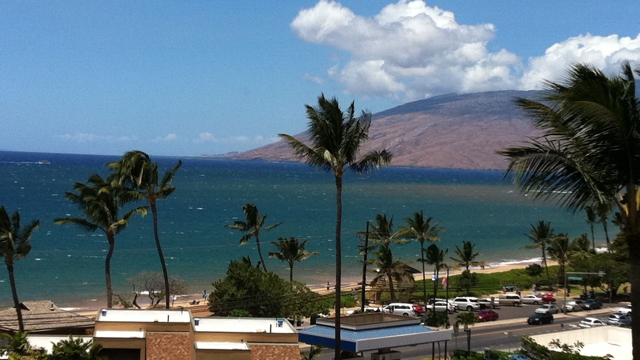 Photo of Others in Kihei