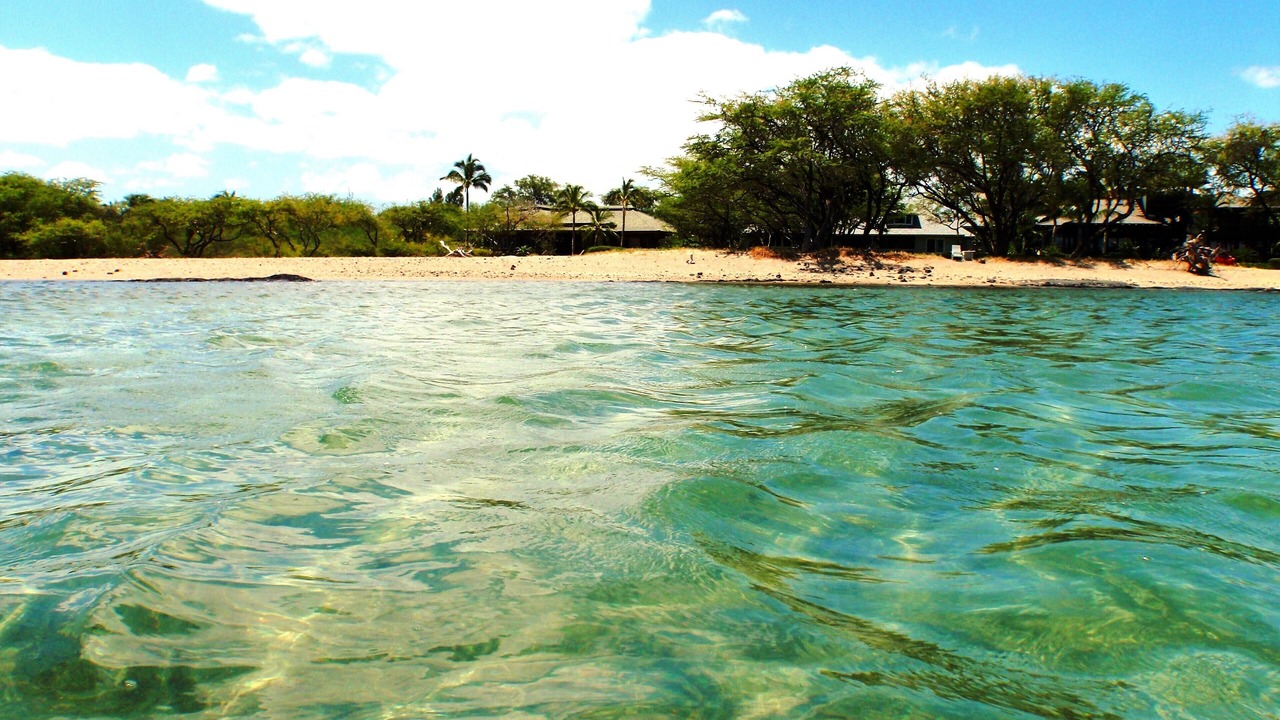 Photo of Others in Puako