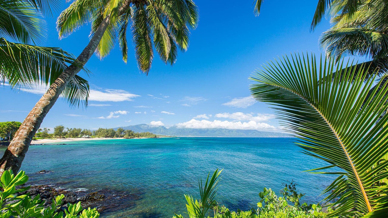 Photo of Others in Paia