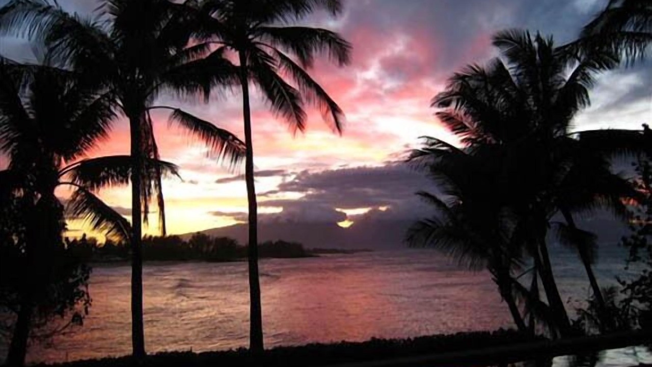 Photo of Others in Paia