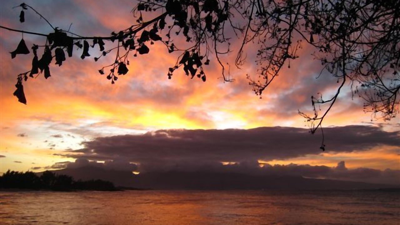 Photo of Others in Paia