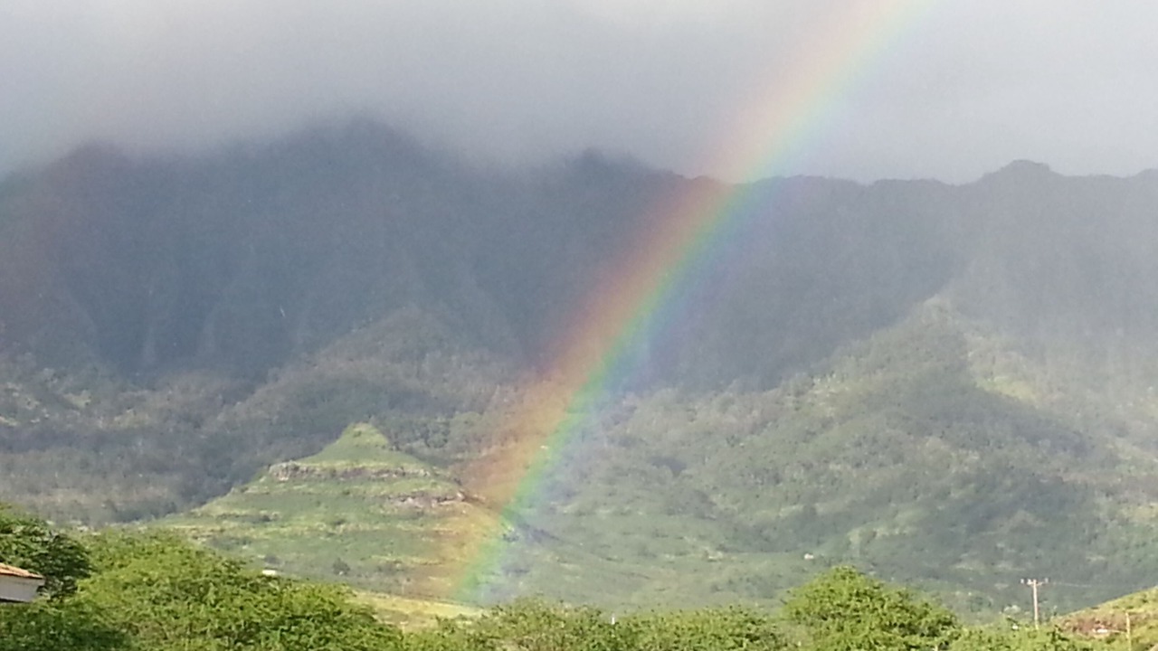 Photo of Others in Makaha