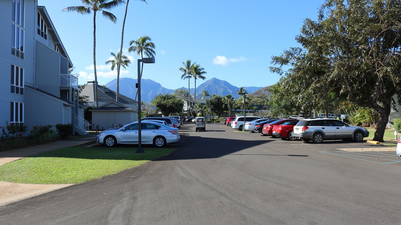 Photo of Outdoor in Princeville
