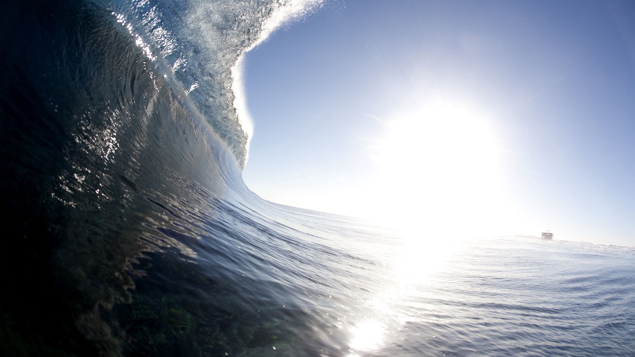 Photo of Others in Laie