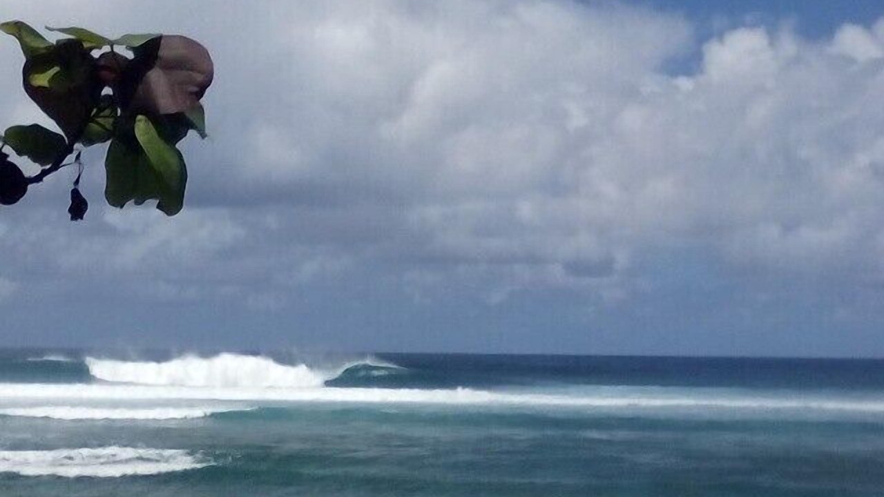 Photo of Others in Laie