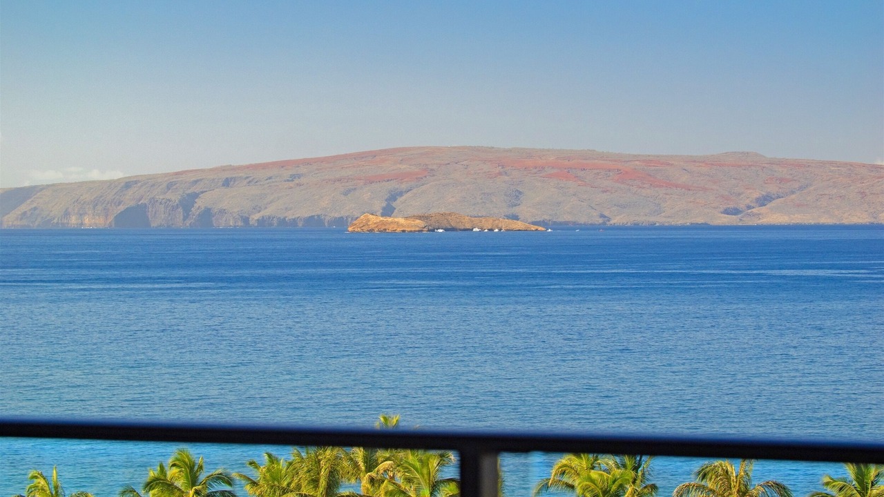 Photo of Others in Wailea