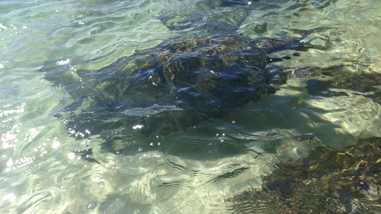 Photo of Others in Kahana