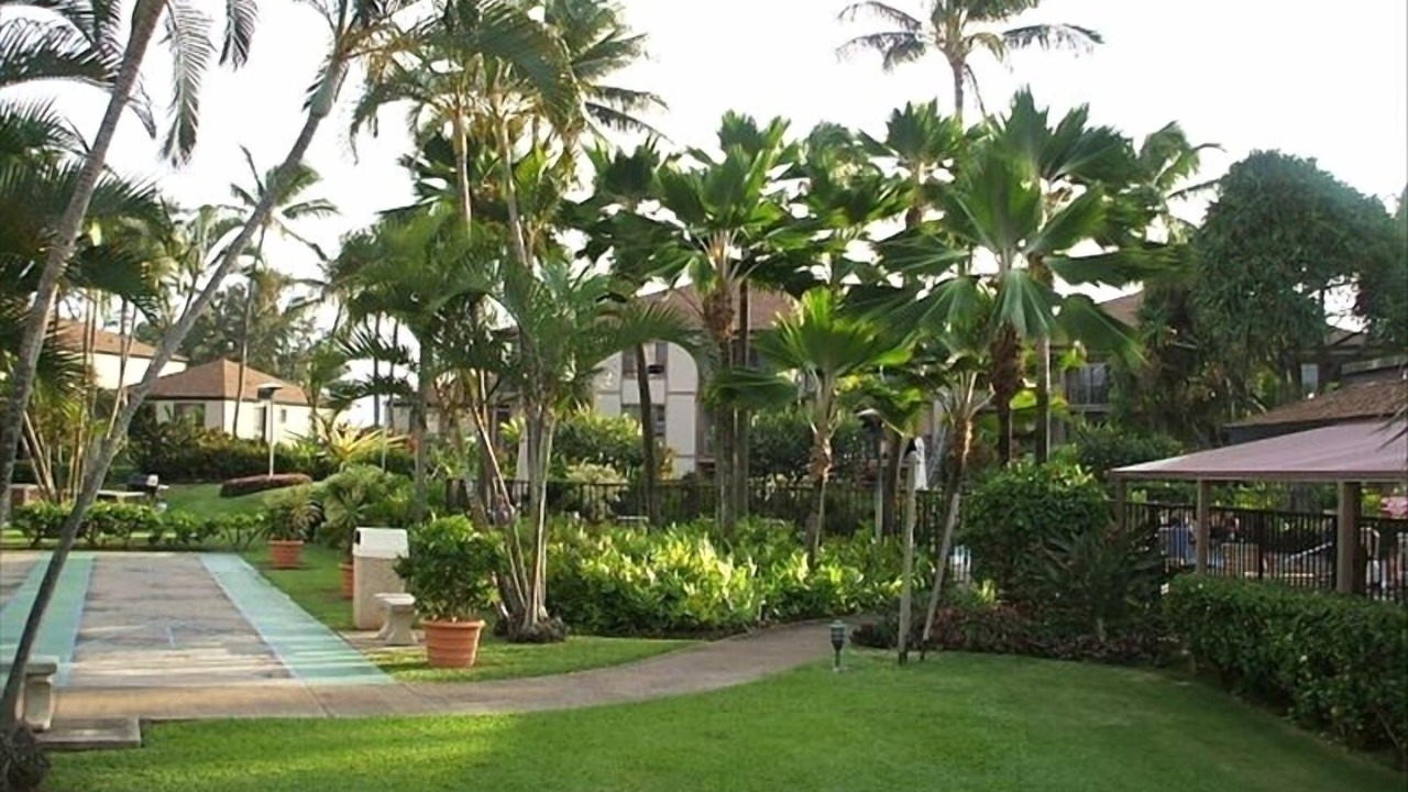Photo of Others in Kapaa