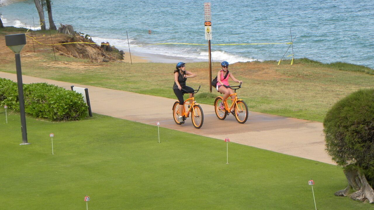 Photo of Others in Kapaa