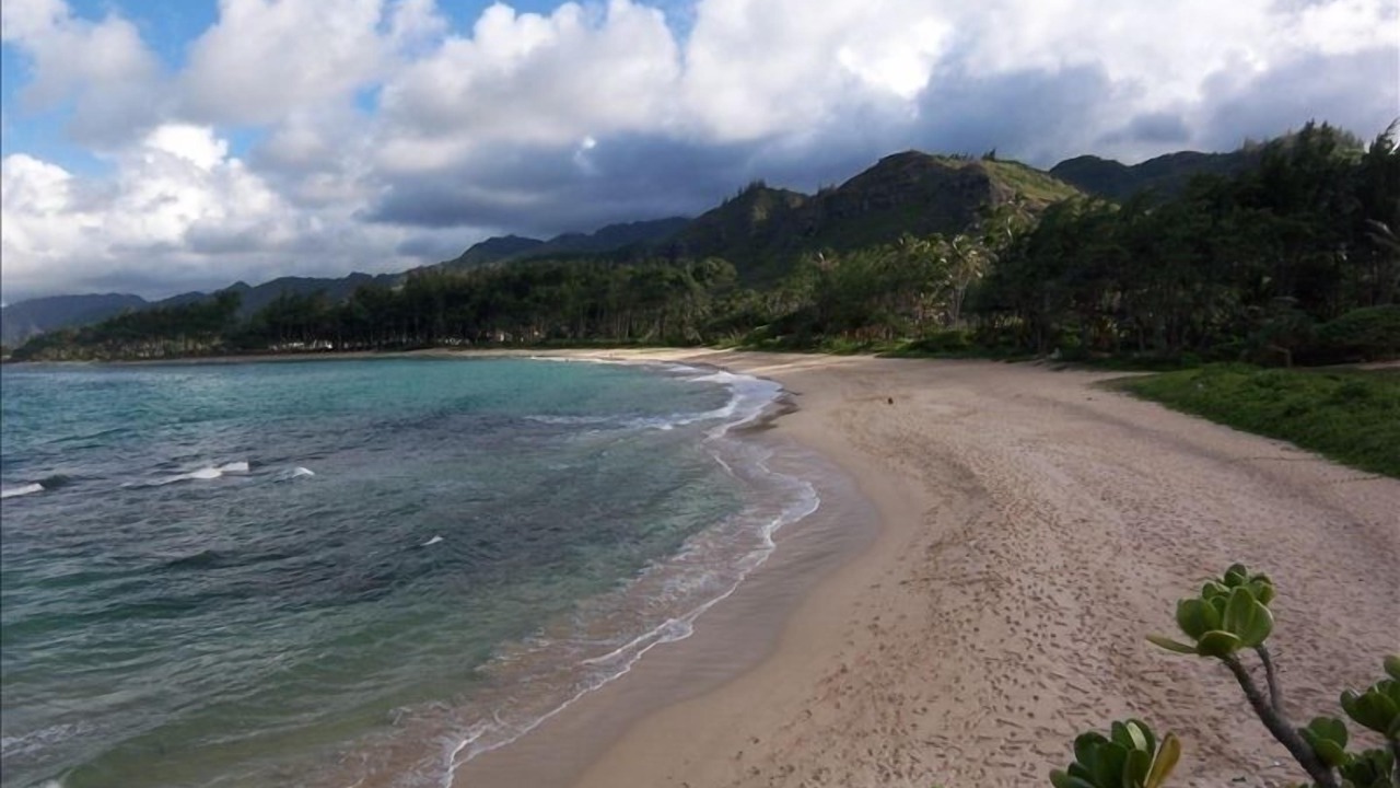 Photo of Others in Laie