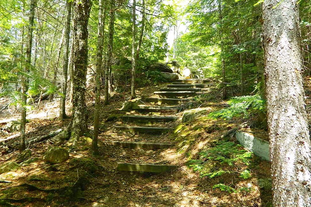 Photo of Outdoor in Rangeley