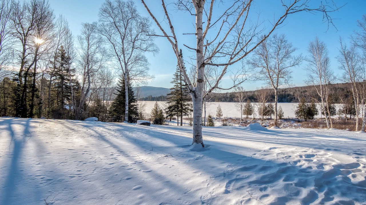 Photo of Others in Rangeley