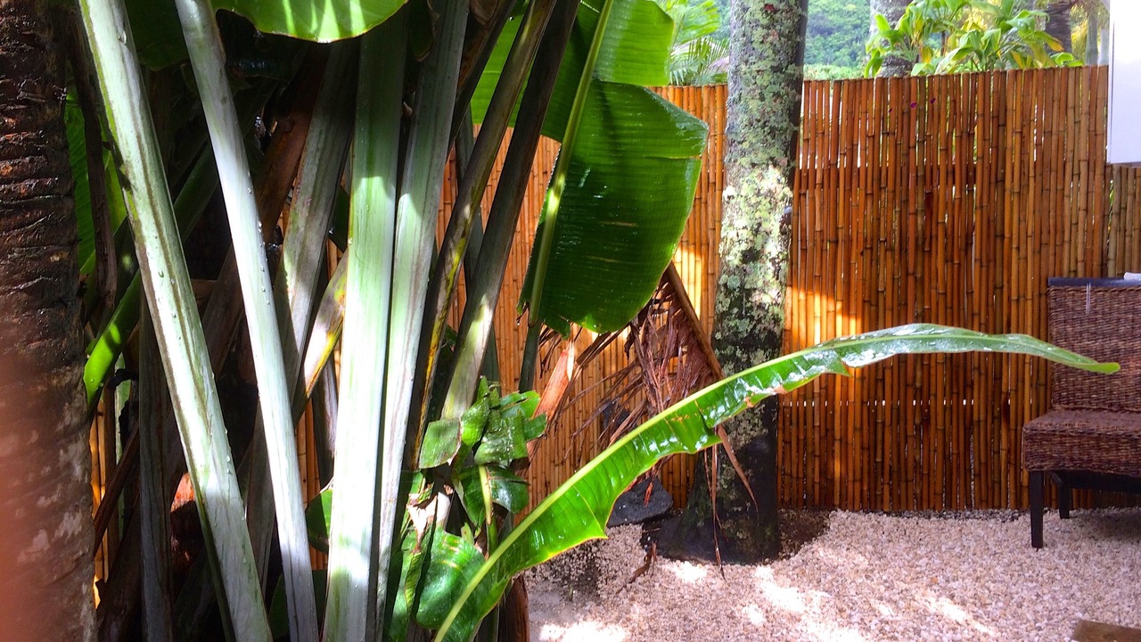 Photo of Outdoor in Nuuanu - Punchbowl