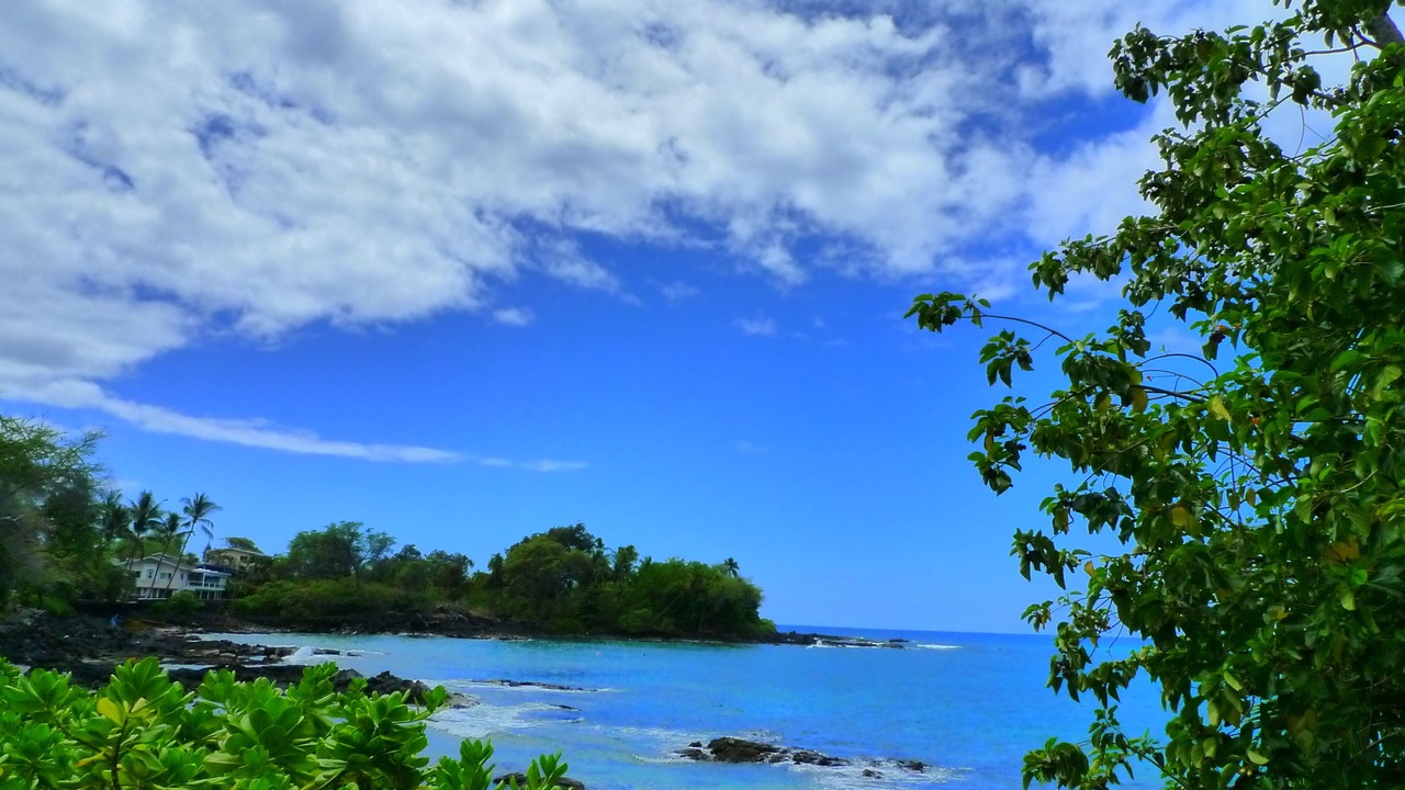 Photo of Others in Kailua-Kona