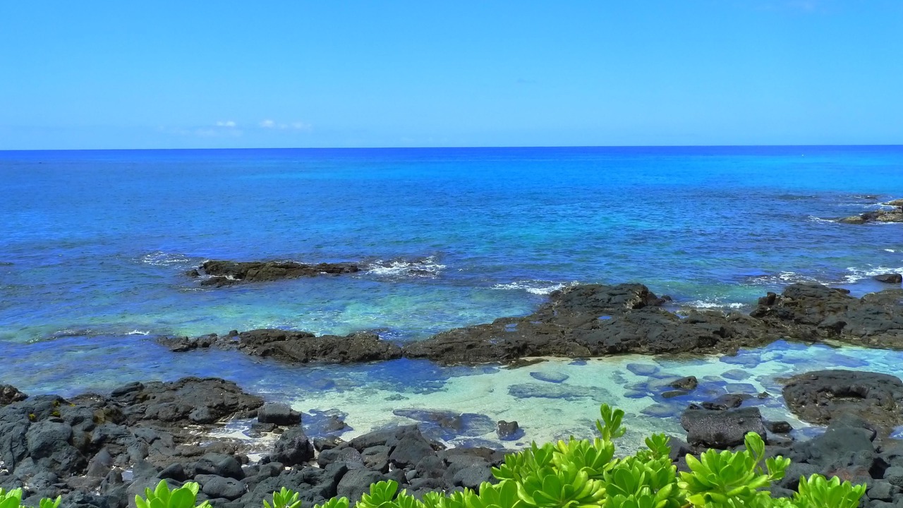 Photo of Others in Kailua-Kona