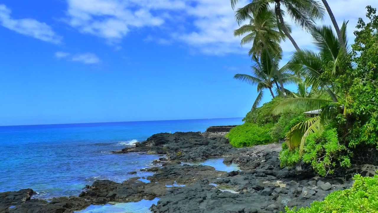 Photo of Others in Kailua-Kona