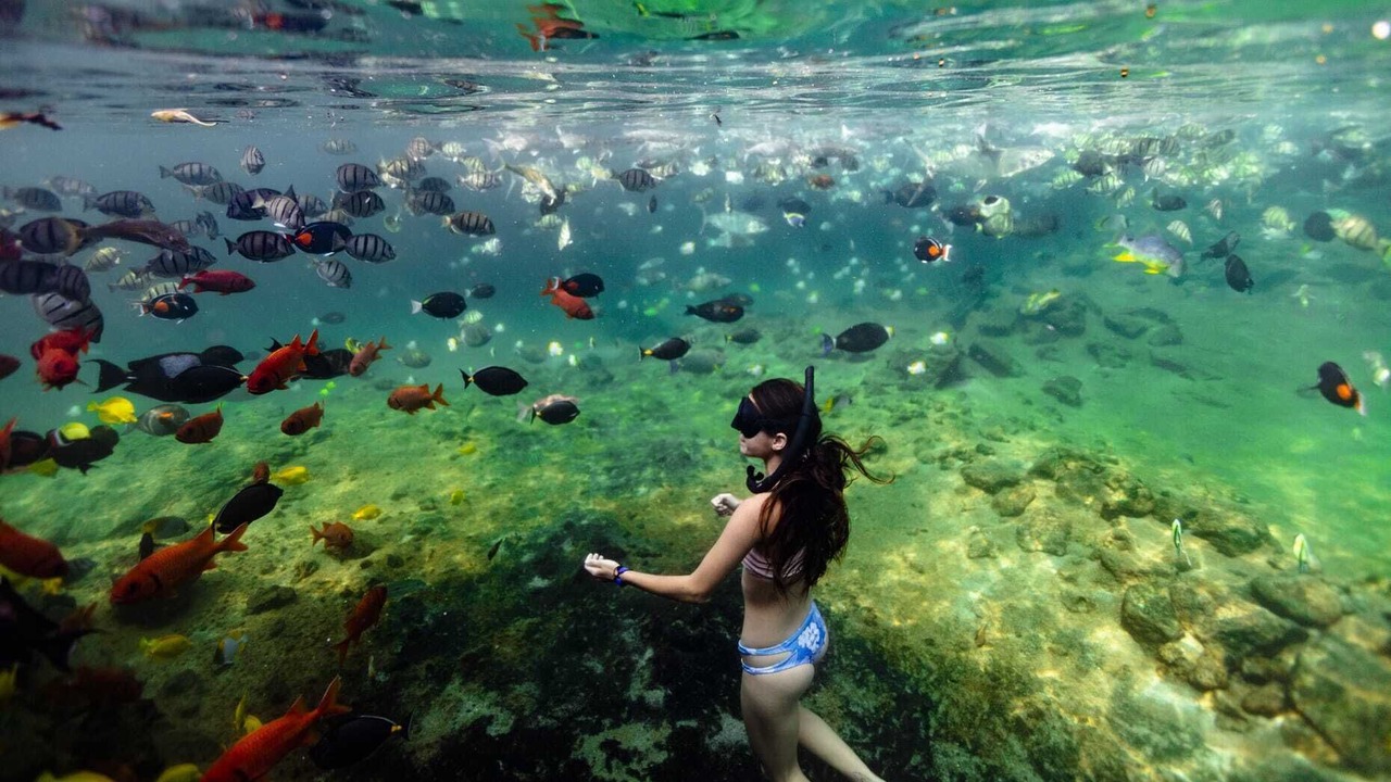 Photo of Others in Kaupulehu