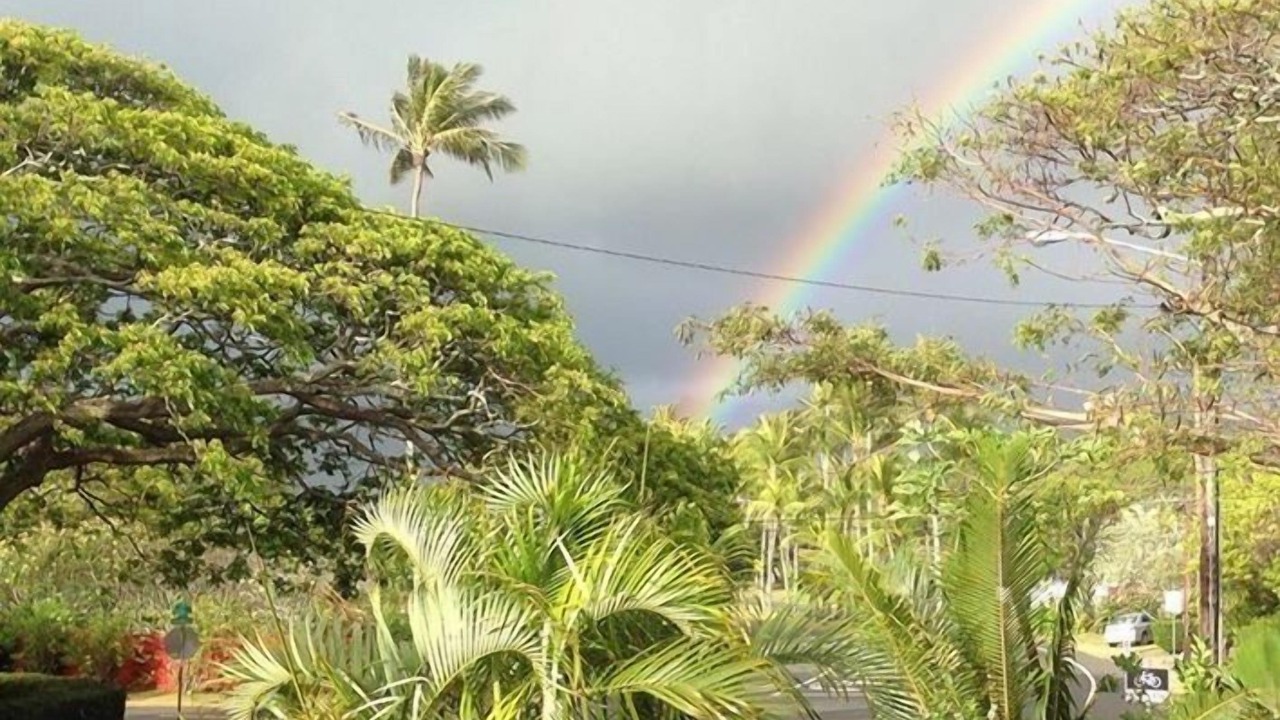 Photo of Others in Kailua