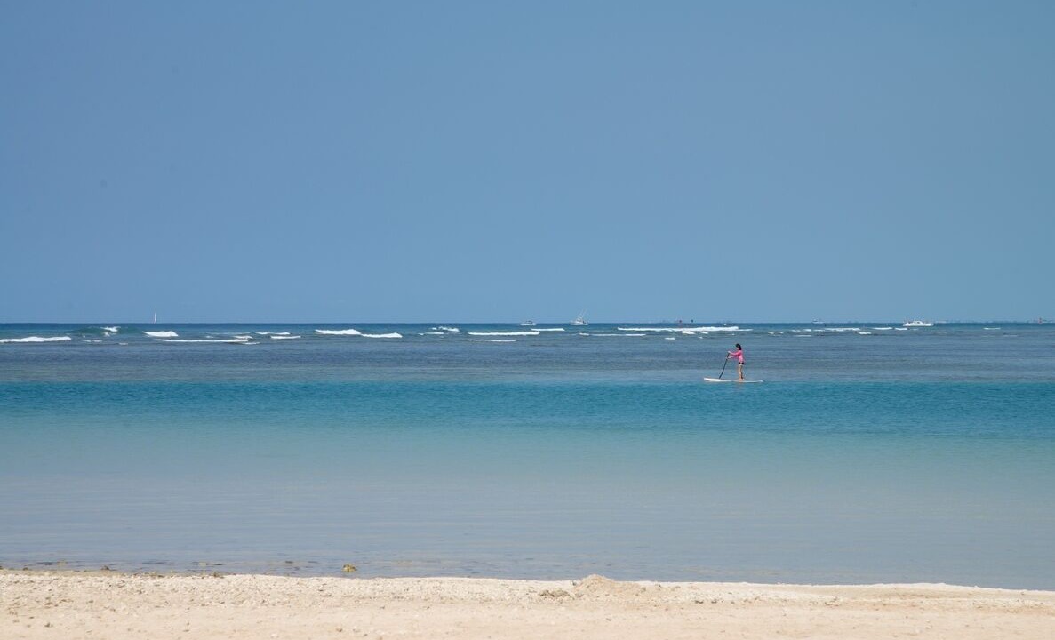 Photo of Others in Ala Moana