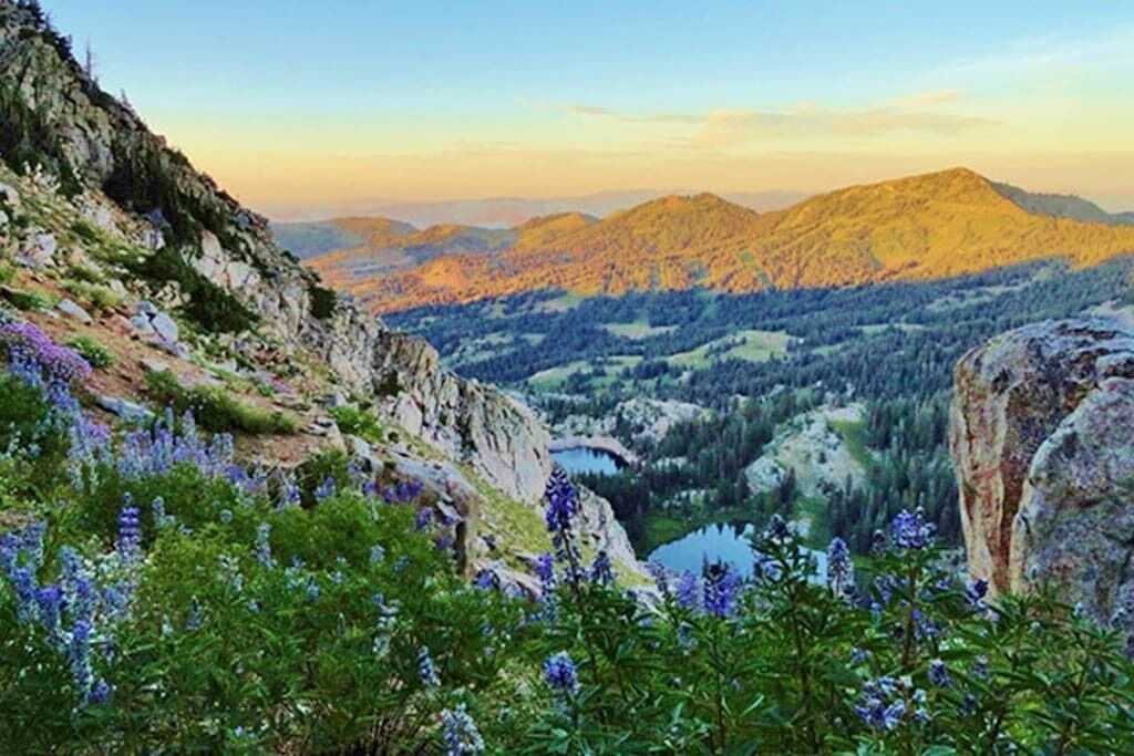 Photo of Outdoor in Canyon Rim