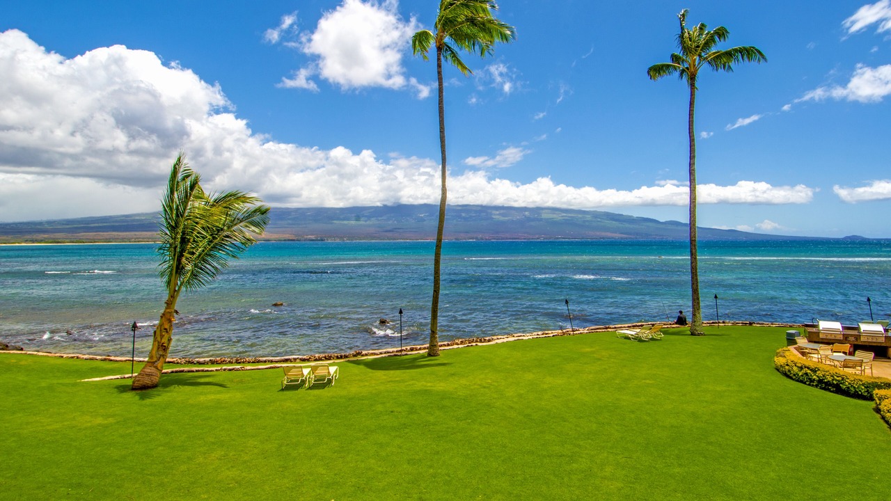 Photo of Others in Maalaea