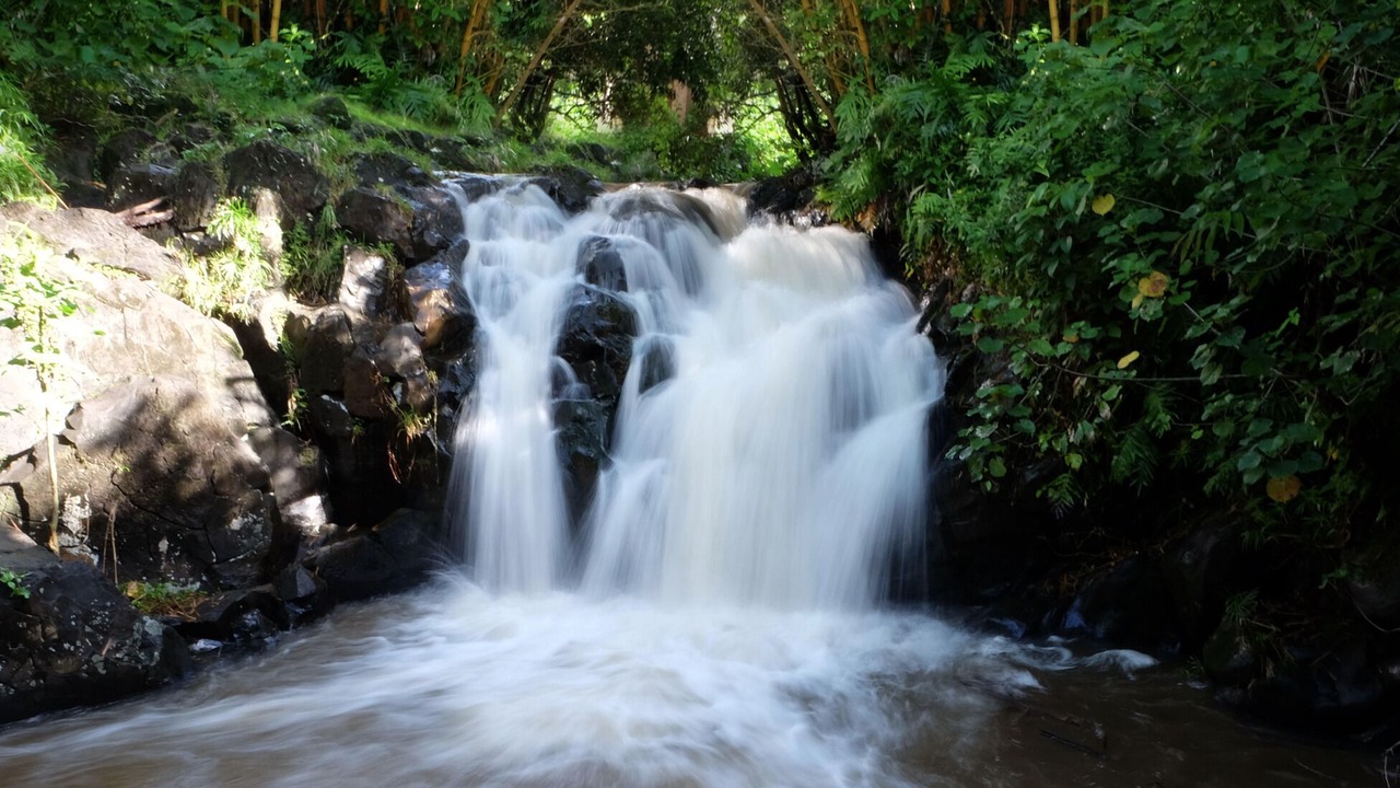Photo of Others in Nuuanu - Punchbowl