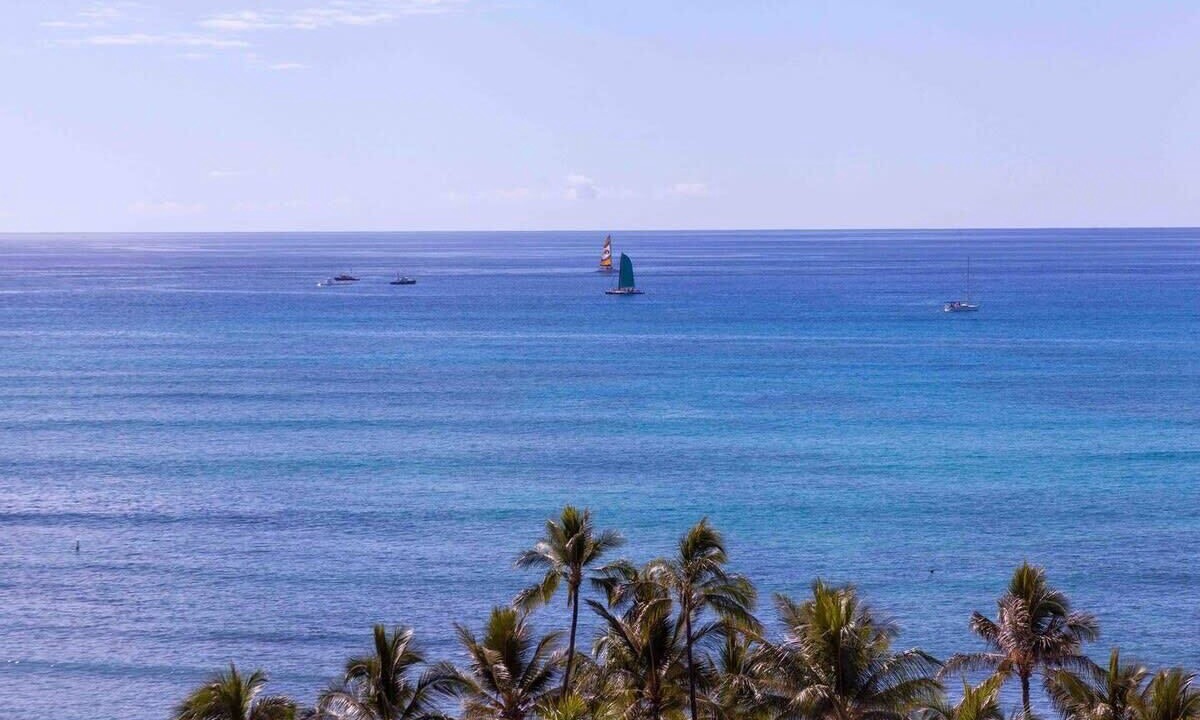 Photo of Others in Waikiki