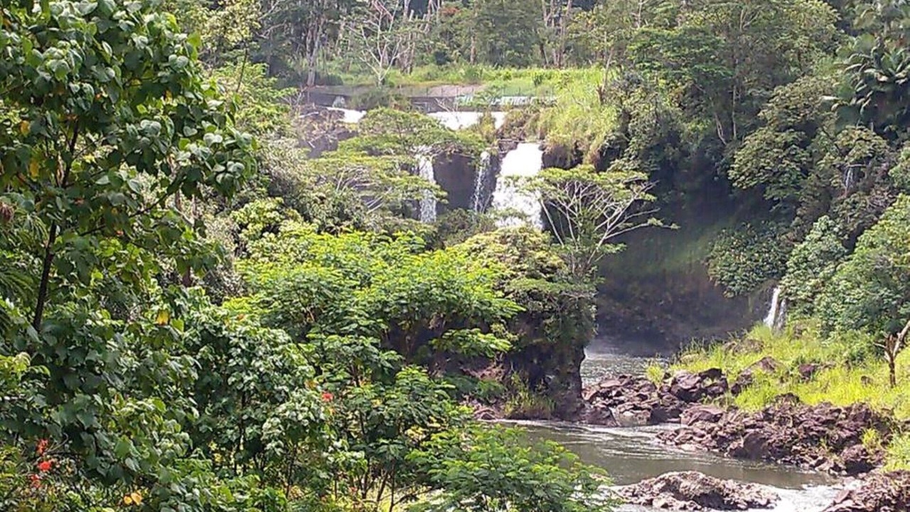Photo of Outdoor in Orchidlands Estates