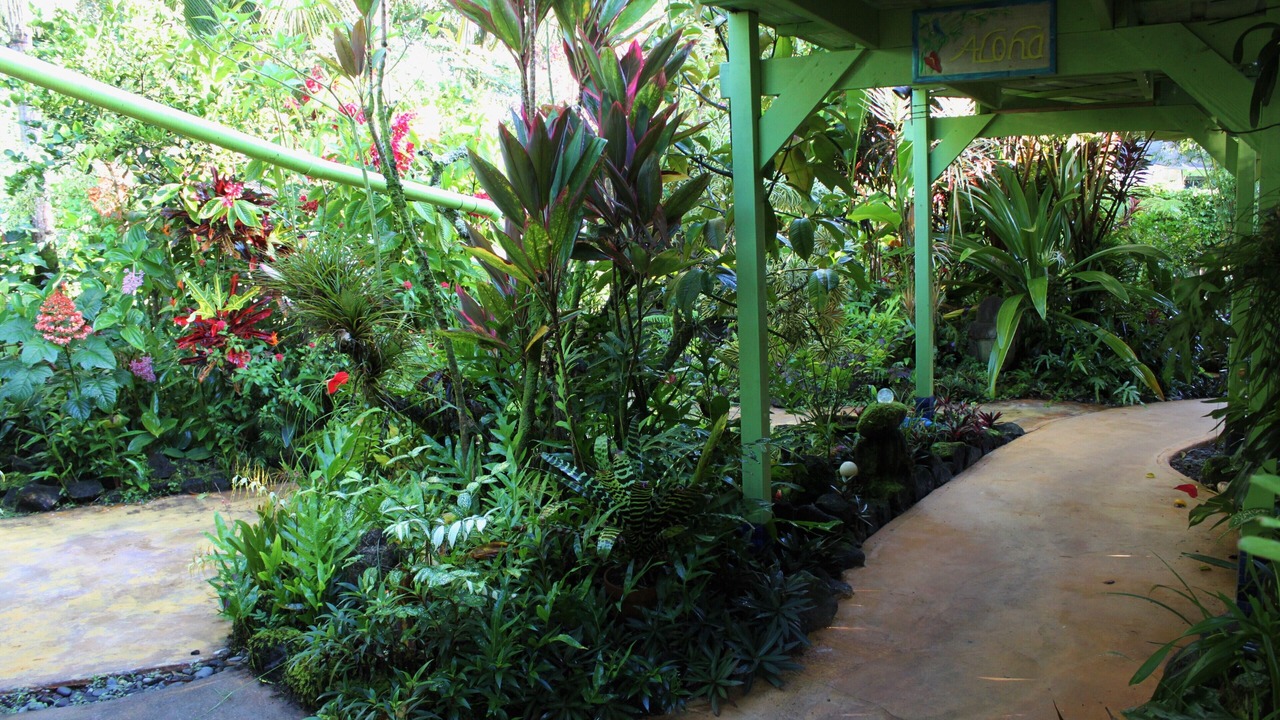Photo of Outdoor in Keaau