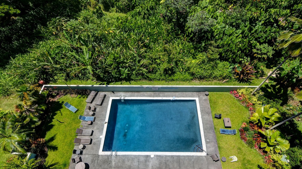 Photo of Outdoor in Hilo