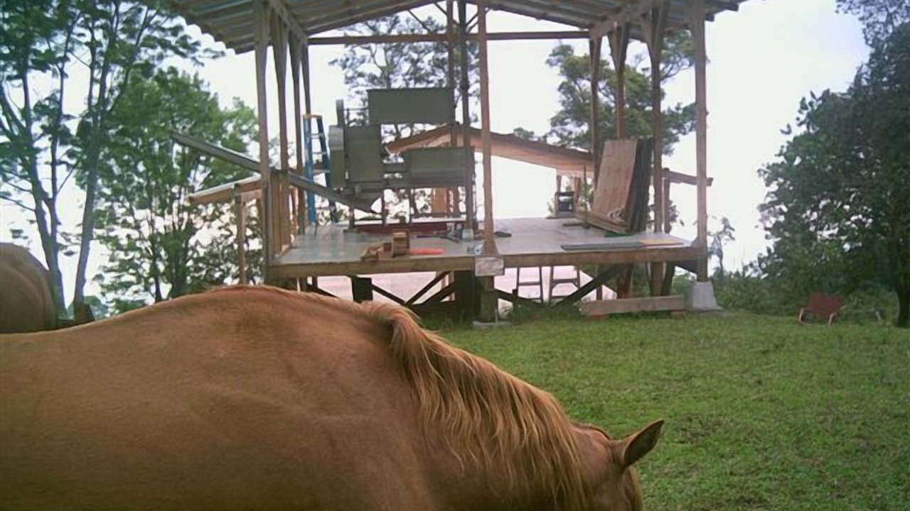 Photo of Outdoor in Holualoa