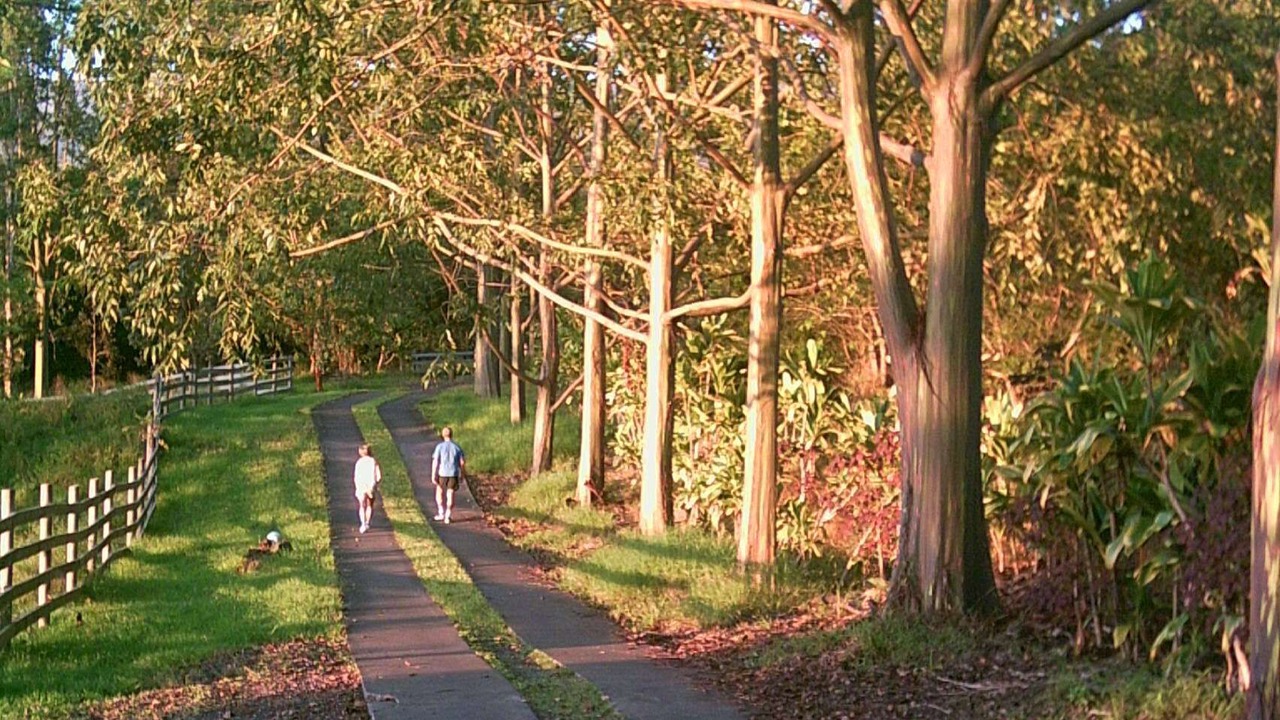 Photo of Outdoor in Holualoa