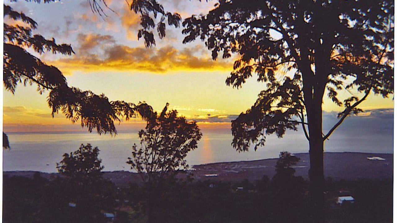 Photo of Outdoor in Holualoa