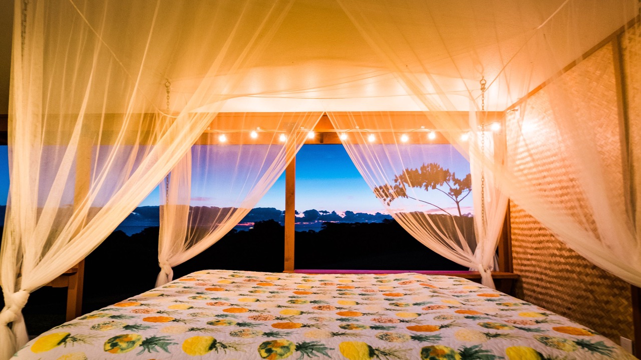 Photo of Bedroom in Hakalau
