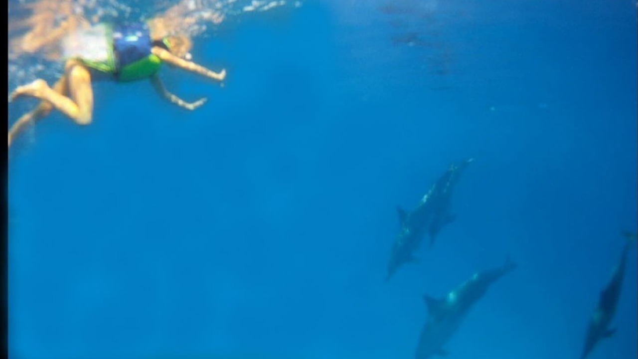 Photo of Others in Hakalau