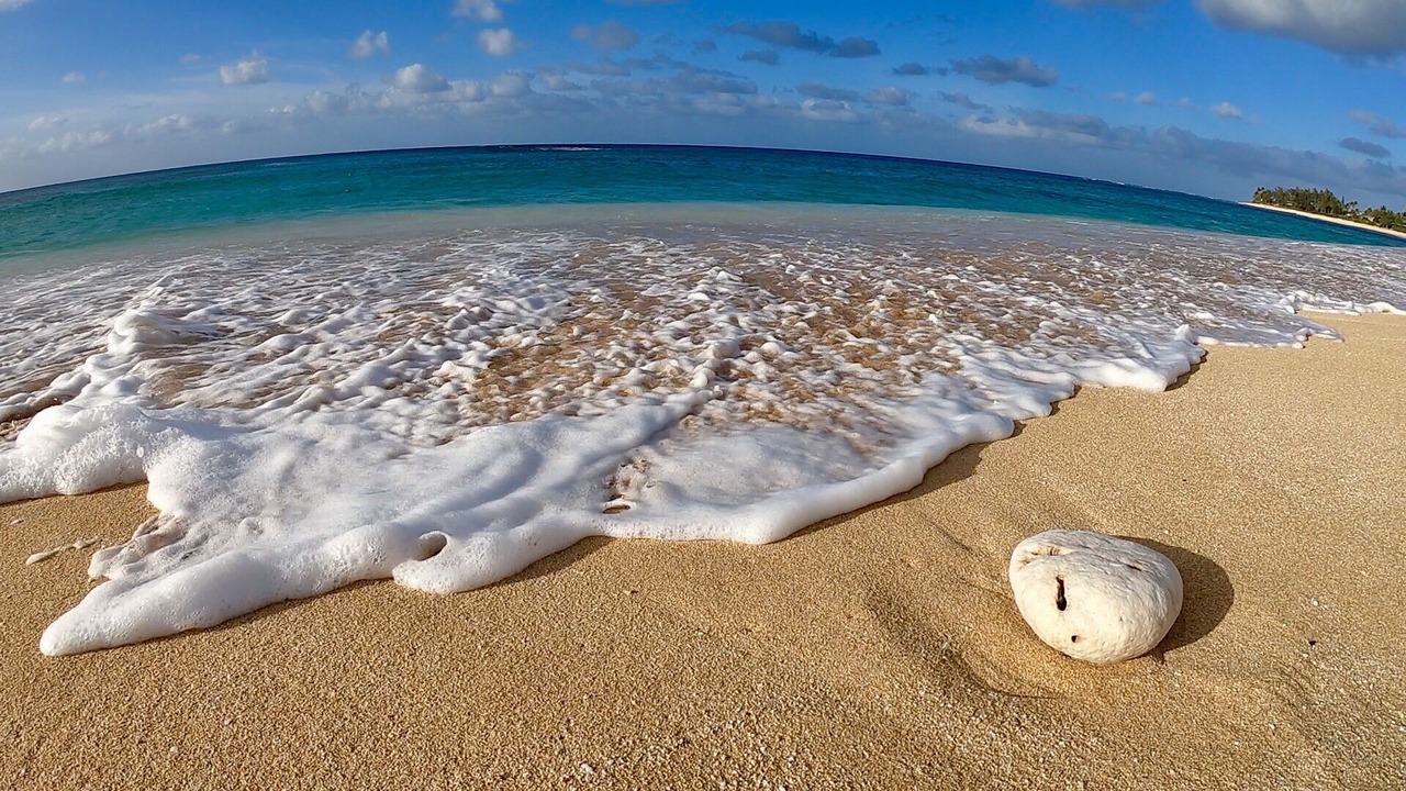 Photo of Others in Pupukea