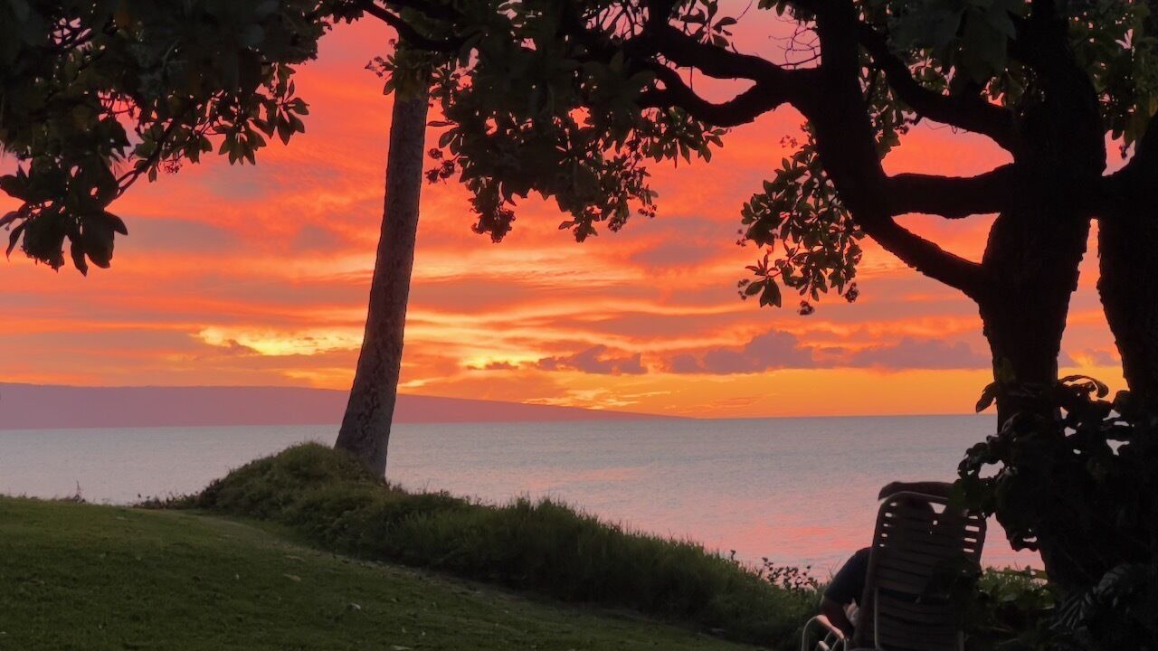 Photo of Outdoor in Napili