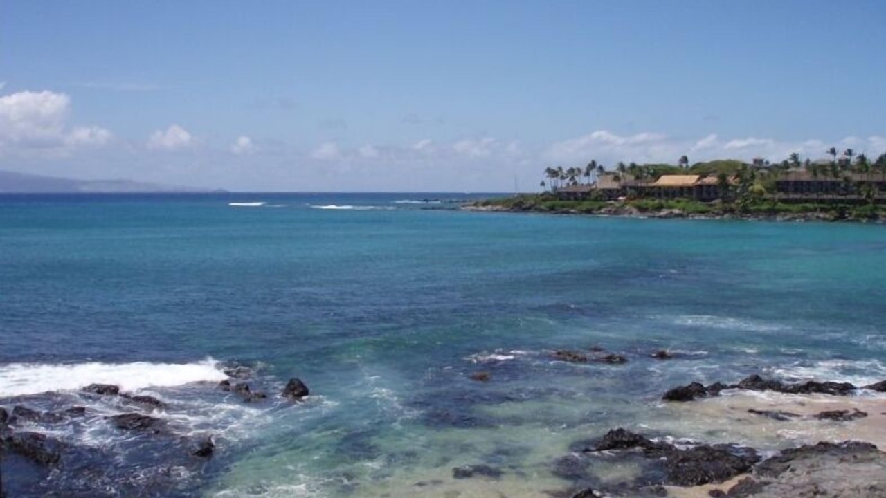 Photo of Others in Napili