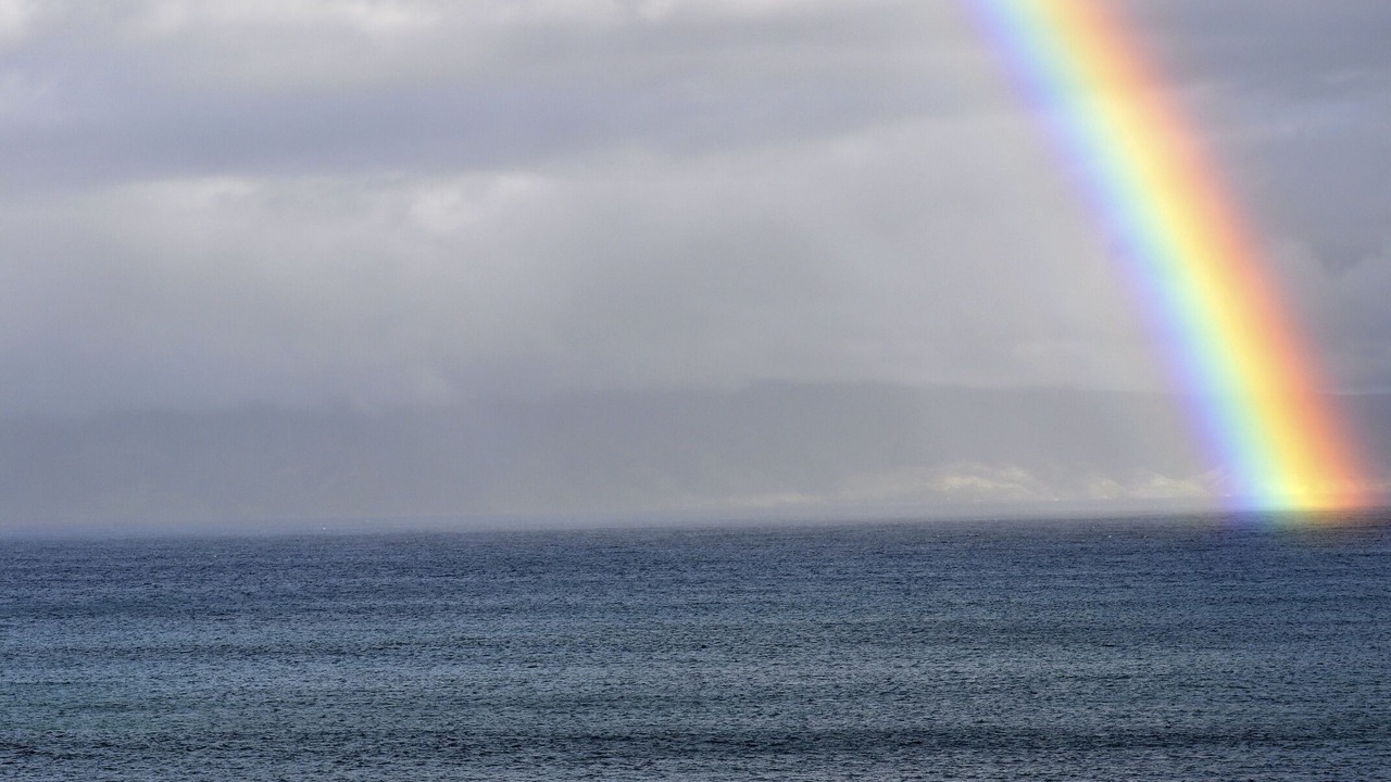 Photo of Others in Napili