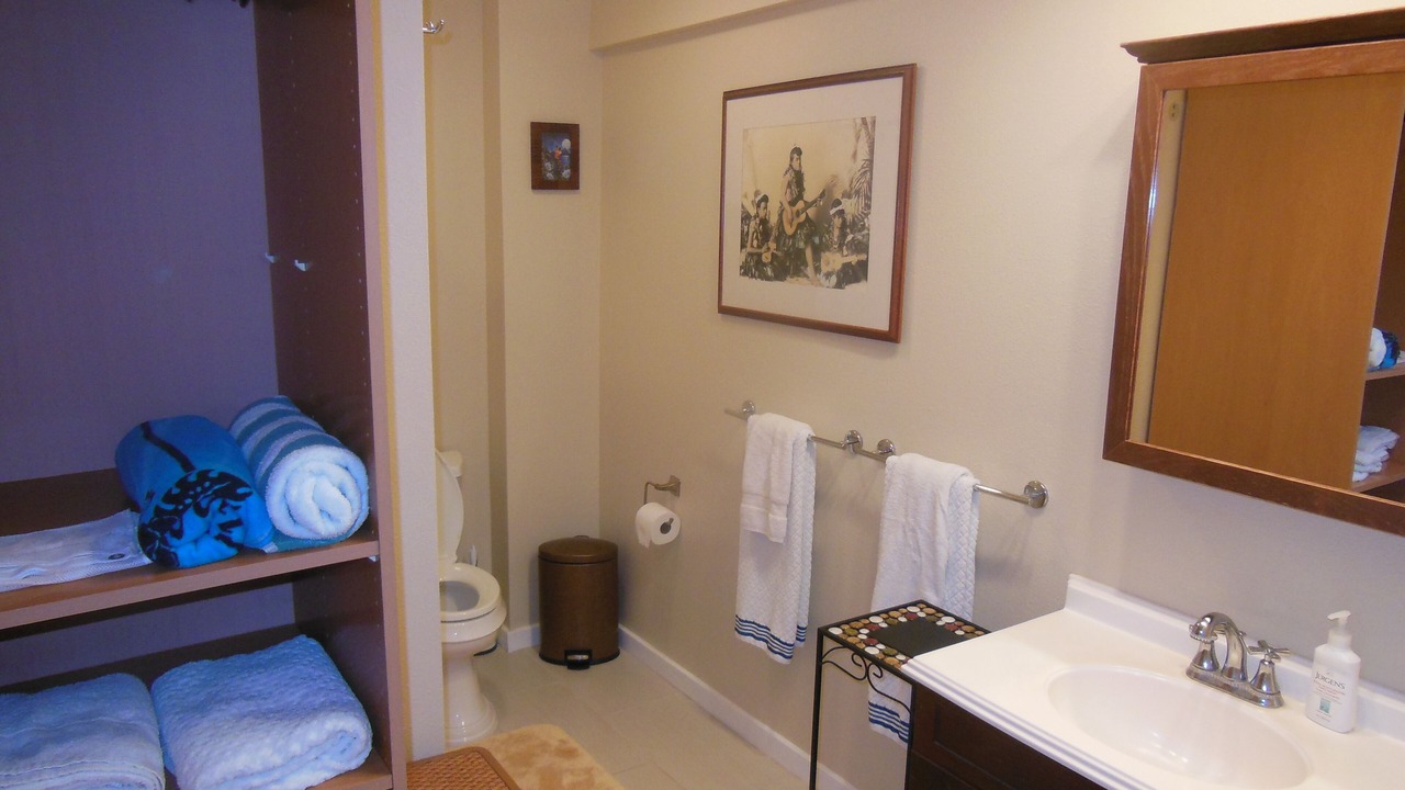 Photo of Bathroom in Pupukea