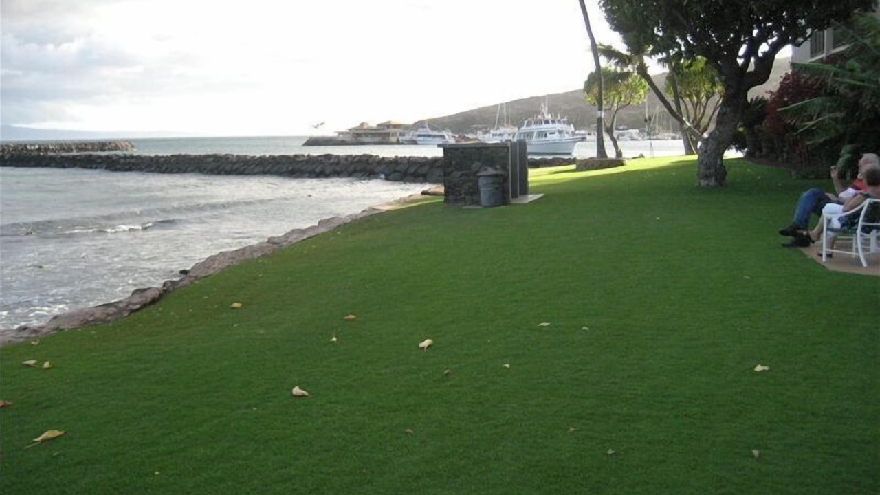 Photo of Others in Maalaea