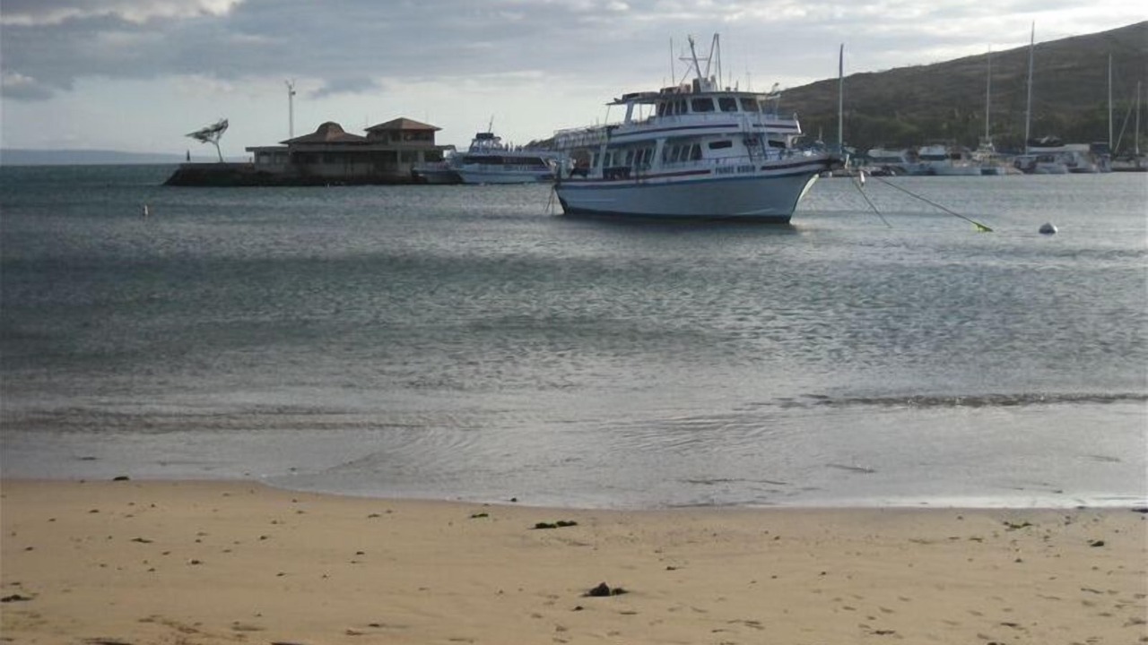 Photo of Others in Maalaea