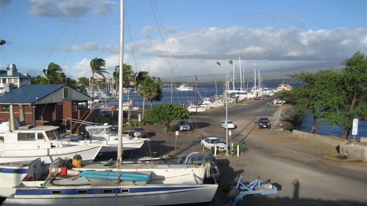 Photo of Others in Maalaea
