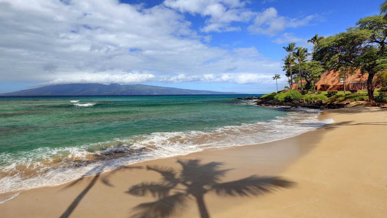 Photo of Others in Honokowai