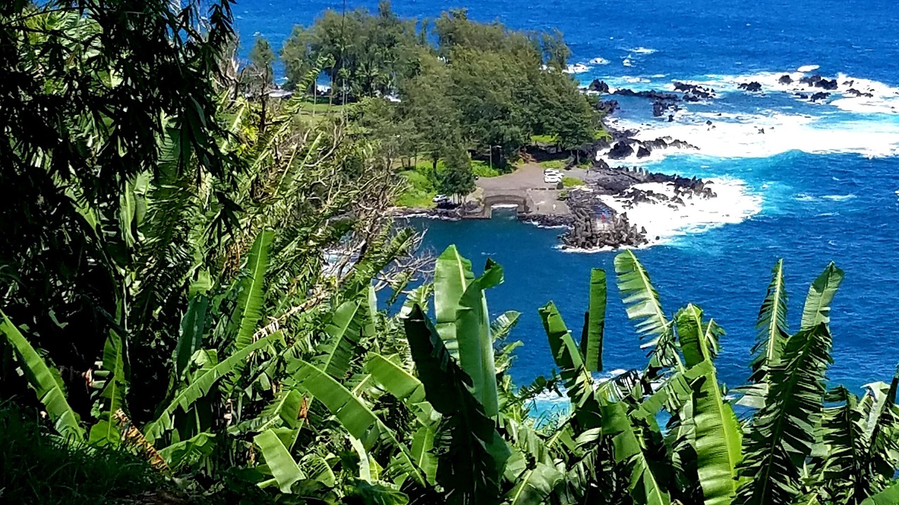 Photo of Outdoor in Laupahoehoe