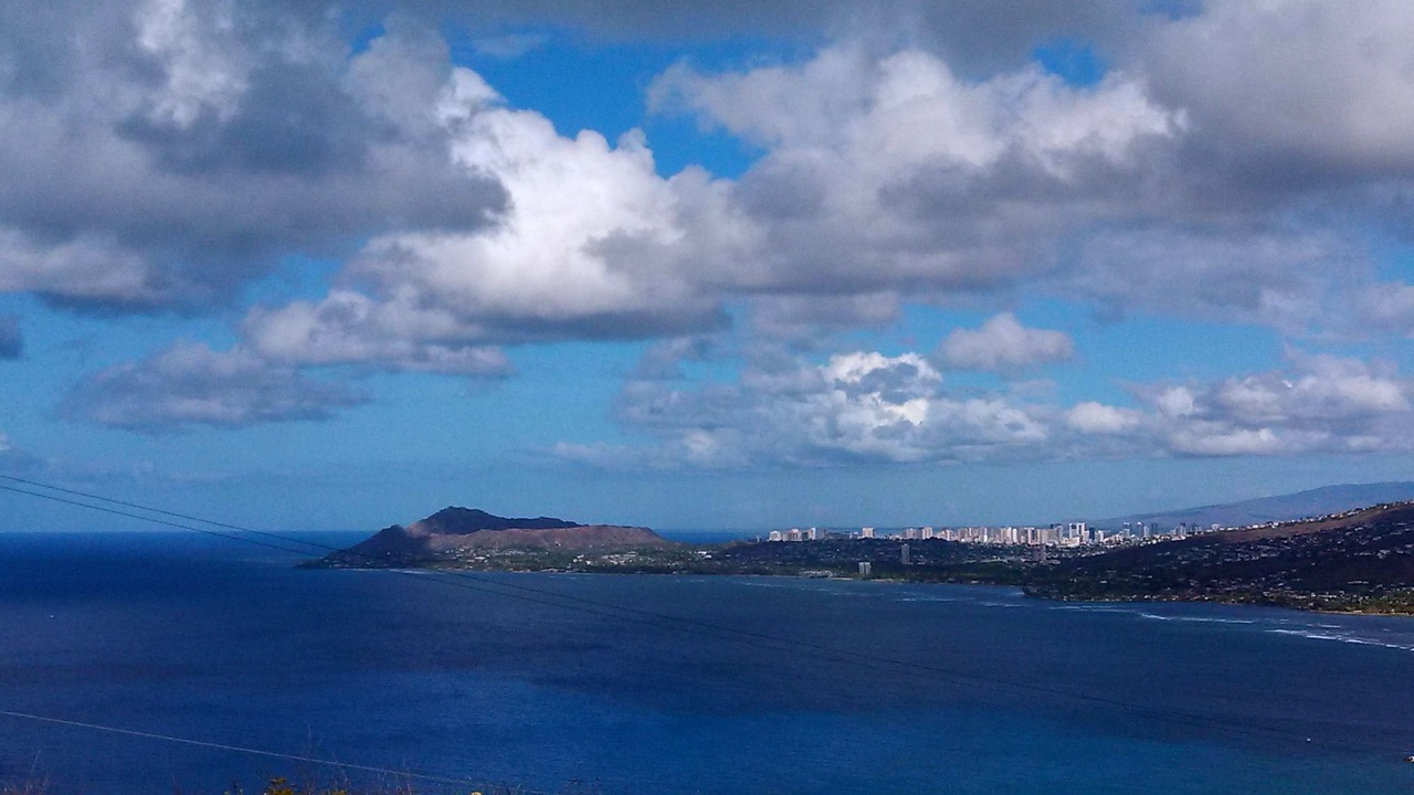 Photo of Others in Portlock