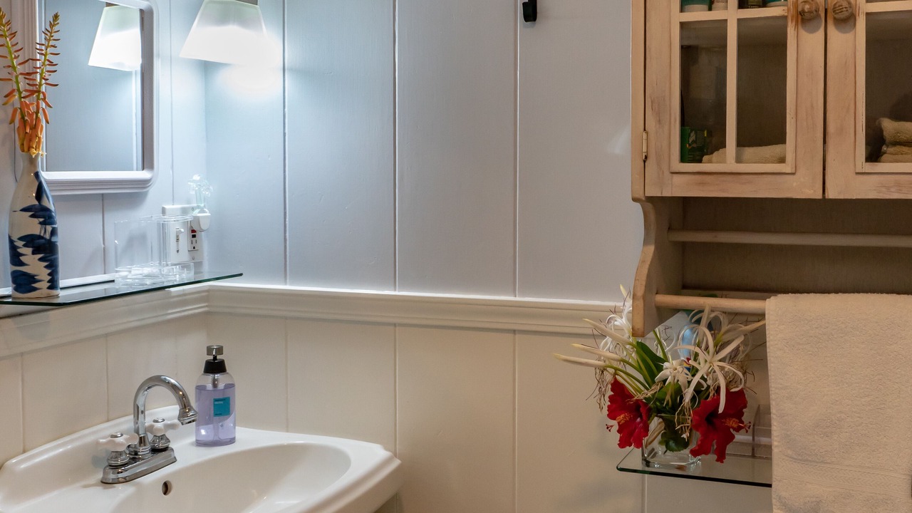 Photo of Bathroom in Portlock