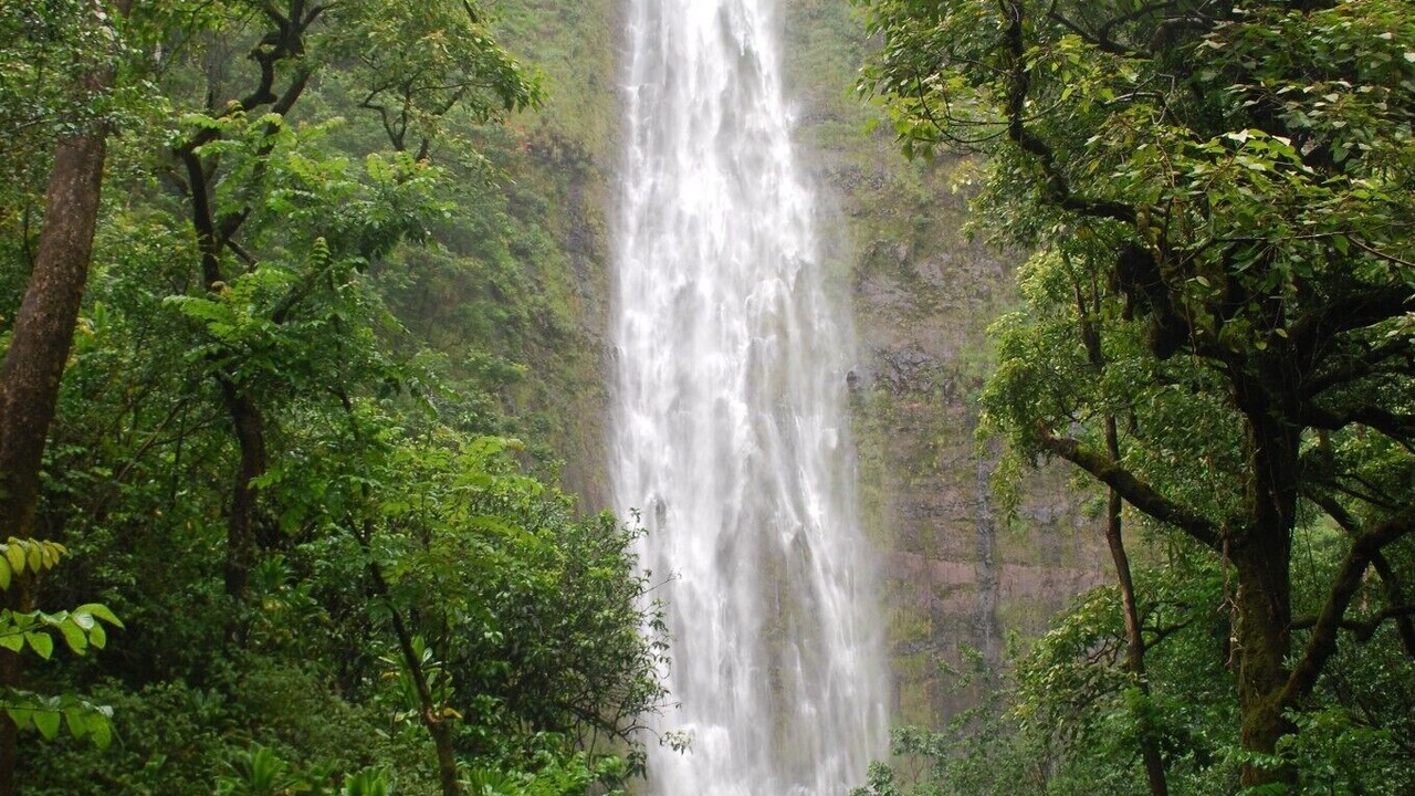 Photo of Others in Pauwela