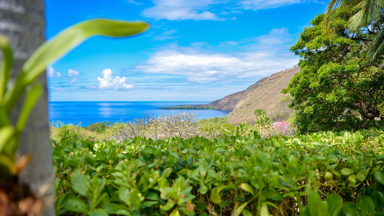 Photo of Others in Honaunau-Napoopoo